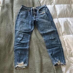 Agolde Jaimie Distressed Denim